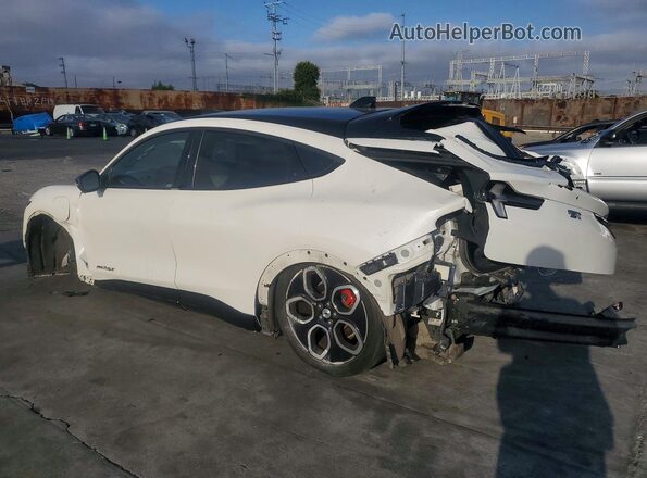 3FMTK4SE2MMD99774 2021 FORD MUSTANG Двухцветный Задняя левая четверть