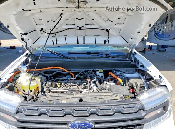 3FTTW8E38PRA94541 2023 FORD MAVERICK Белый Вид задней части салона