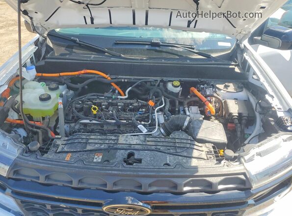 3FTTW8H31RRA50797 2024 FORD MAVERICK White Սալոնի հետևի տեսք