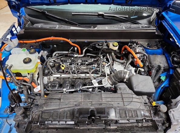 3FTTW8J36TRA03699 2026 FORD MAVERICK Blue Вид задньої частини салону