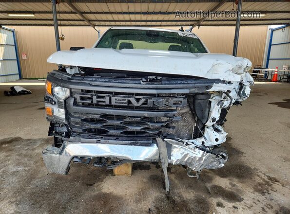 3GCNAAEDXSG327069 2025 CHEVROLET SILVERADO Белый Вид спереди