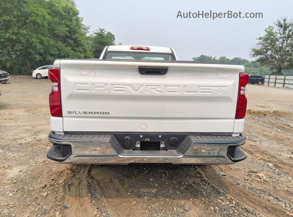 3GCNAAEK5TG270067 2026 CHEVROLET SILVERADO Белый Вид сзади
