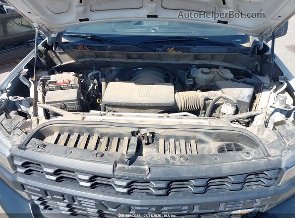 3GCNWAEF7LG206066 2020 CHEVROLET SILVERADO Белый Вид сзади