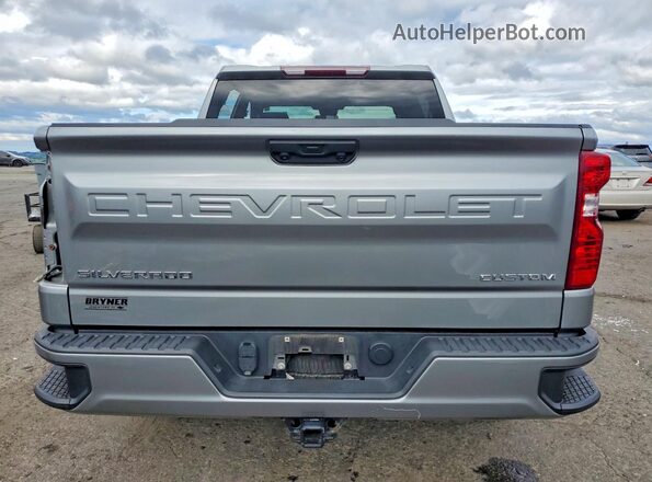 3GCPDBEK3PG264246 2023 CHEVROLET SILVERADO Silver Вид ззаду