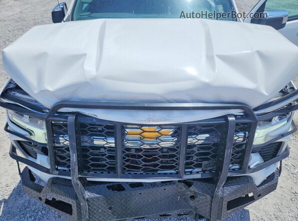 3GCPDDEK9PG262836 2023 CHEVROLET SILVERADO Белый Вид задней части салона