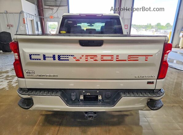 3GCPWBEH6LG451716 2020 CHEVROLET SILVERADO Silver Вид ззаду
