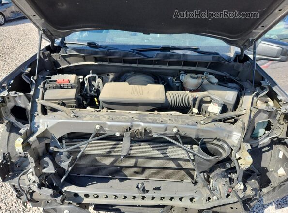3GCPWDED1MG405186 2021 CHEVROLET SILVERADO Серый Вид задней части салона