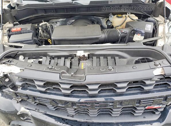3GCPYCEF3MG145069 2021 CHEVROLET SILVERADO Белый Вид задней части салона