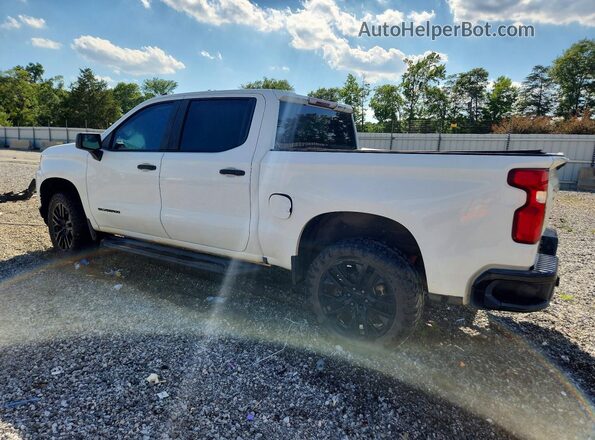 3GCPYCEF4KG131677 2019 CHEVROLET SILVERADO White Tył lewy