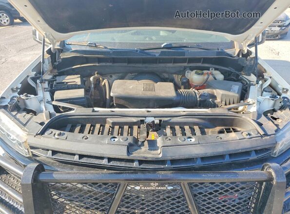 3GCPYFED2KG198262 2019 CHEVROLET SILVERADO Белый Вид задней части салона