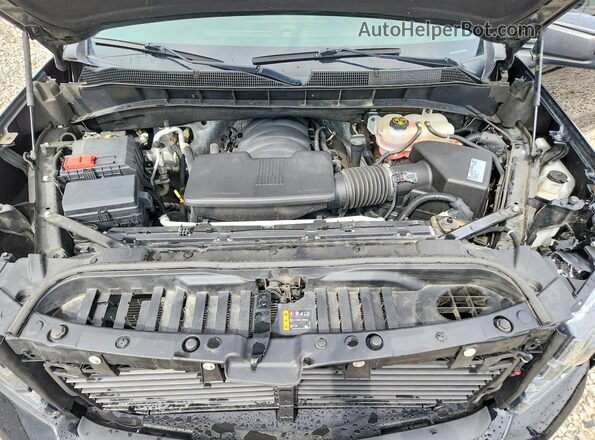 3GCPYFED3LG133938 2020 CHEVROLET SILVERADO Черный Вид задней части салона