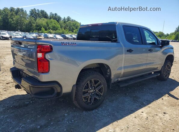 3GCUDFED7RG368205 2024 CHEVROLET SILVERADO Gray Задня права чверть