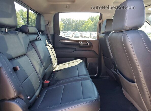 3GCUDFED7RG368205 2024 CHEVROLET SILVERADO Gray Вид задніх сидінь