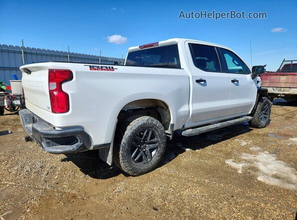 3GCUDFEDXRG299106 2024 CHEVROLET SILVERADO Белый Задняя правая четверть