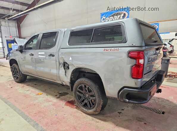 3GCUKFEDXSG264206 2025 CHEVROLET SILVERADO Silver Հետևի ձախ
