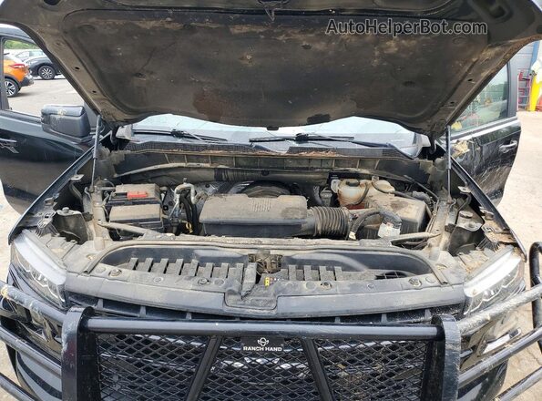 3GCUYEED2MG424445 2021 CHEVROLET SILVERADO Black უკანა სალონის ხედი