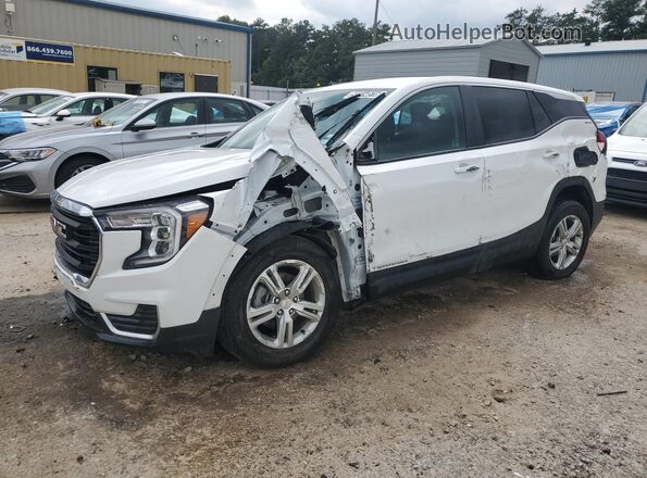 3GKALMEG0RL368207 2024 GMC TERRAIN White 