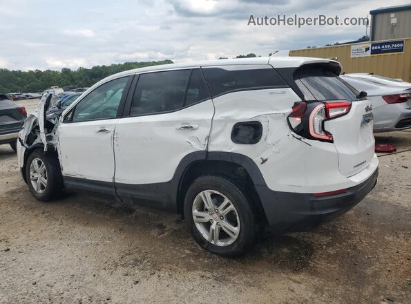 3GKALMEG0RL368207 2024 GMC TERRAIN White 
