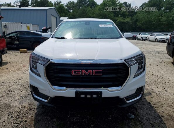 3GKALMEG5RL352407 2024 GMC TERRAIN Белый Вид спереди