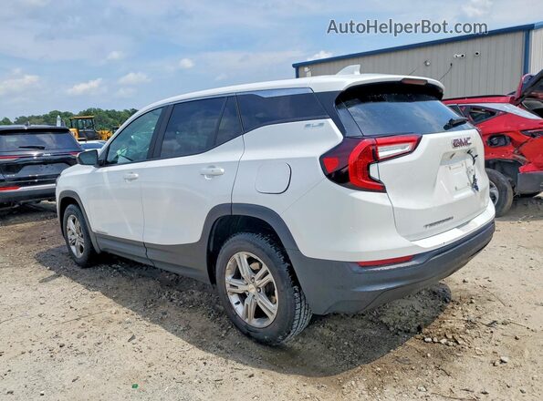 3GKALMEG5RL352407 2024 GMC TERRAIN Белый Задняя левая четверть