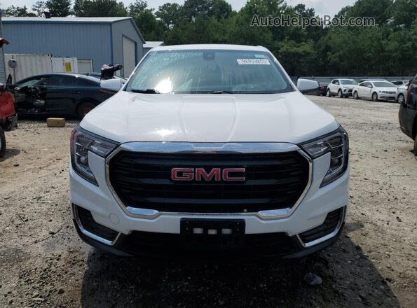 3GKALMEG5RL352407 2024 GMC TERRAIN Белый 