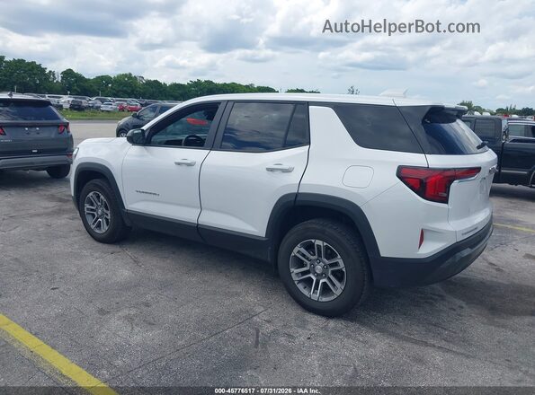 3GKALMEG5TL349546 2026 GMC TERRAIN White Tył lewy