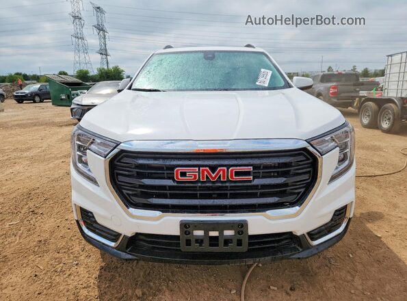 3GKALMEG6PL135946 2023 GMC TERRAIN Белый Вид спереди