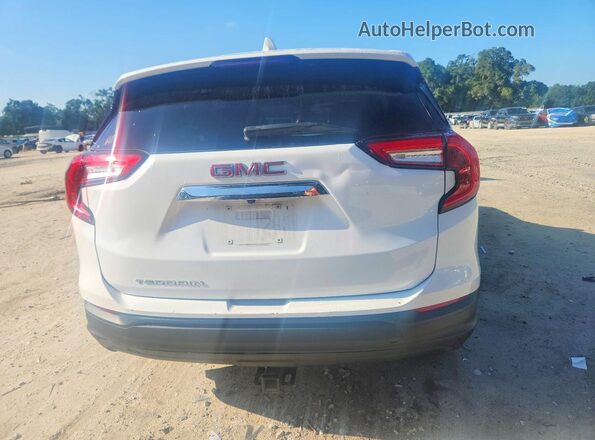 3GKALMEG7RL218885 2024 GMC TERRAIN White Widok z tyłu
