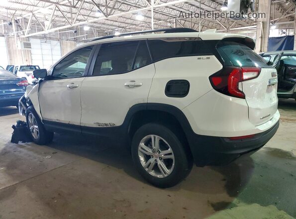 3GKALMEGXRL390781 2024 GMC TERRAIN White Задня ліва чверть