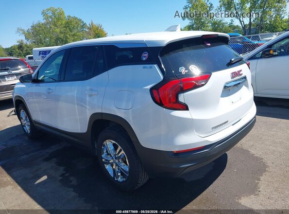 3GKALMEV0LL185878 2020 GMC TERRAIN Белый Задняя левая четверть