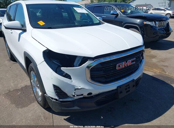 3GKALMEV0LL185878 2020 GMC TERRAIN Белый Вид спереди