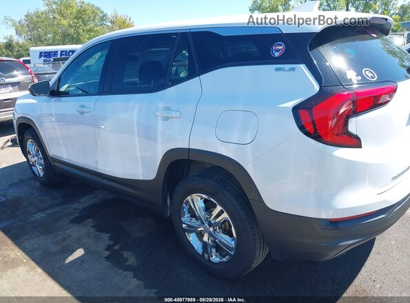 3GKALMEV0LL185878 2020 GMC TERRAIN Белый 
