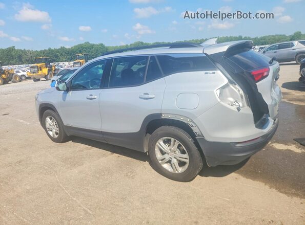 3GKALMEV0LL198582 2020 GMC TERRAIN Silver Հետևի ձախ