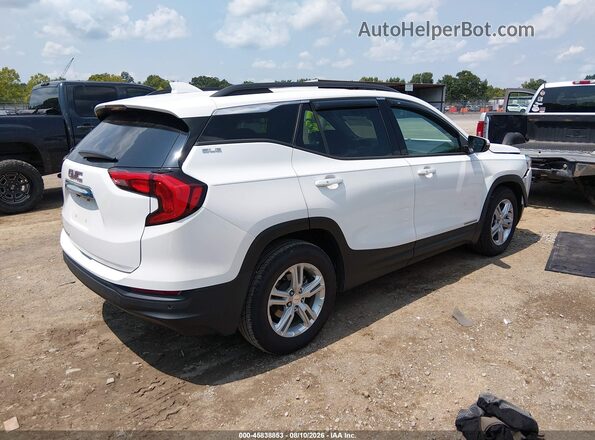 3GKALMEV1LL305655 2020 GMC TERRAIN White Задня права чверть