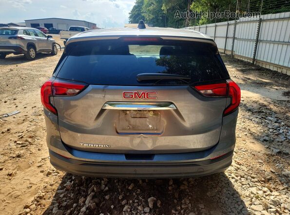 3GKALMEV2LL148475 2020 GMC TERRAIN Серый Вид сзади