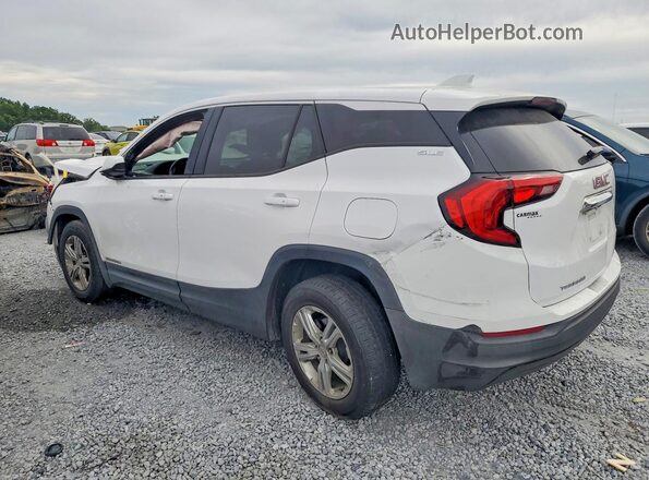3GKALMEV2LL288543 2020 GMC TERRAIN Белый Задняя левая четверть