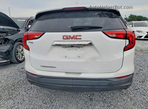 3GKALMEV2LL288543 2020 GMC TERRAIN Белый Вид сзади
