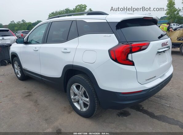 3GKALMEV3LL281164 2020 GMC TERRAIN White Задня ліва чверть
