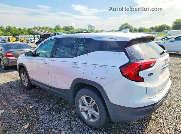 3GKALMEV4LL310199 2020 GMC TERRAIN White Задня ліва чверть