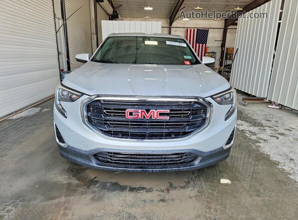 3GKALMEV5LL195144 2020 GMC TERRAIN Серебряный Вид спереди