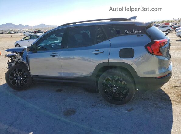 3GKALMEV5LL312494 2020 GMC TERRAIN Silver Задня ліва чверть