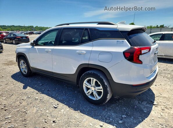 3GKALMEVXNL207470 2022 GMC TERRAIN Белый Задняя левая четверть