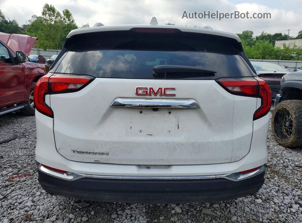 3GKALPEV1LL269886 2020 GMC TERRAIN Белый Вид сзади