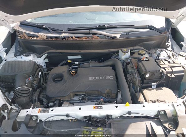 3GKALPEV8KL339642 2019 GMC TERRAIN White Rear view