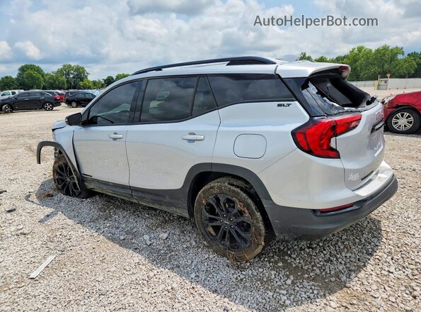 3GKALPEV9LL307185 2020 GMC TERRAIN Silver უკანა მარცხენა