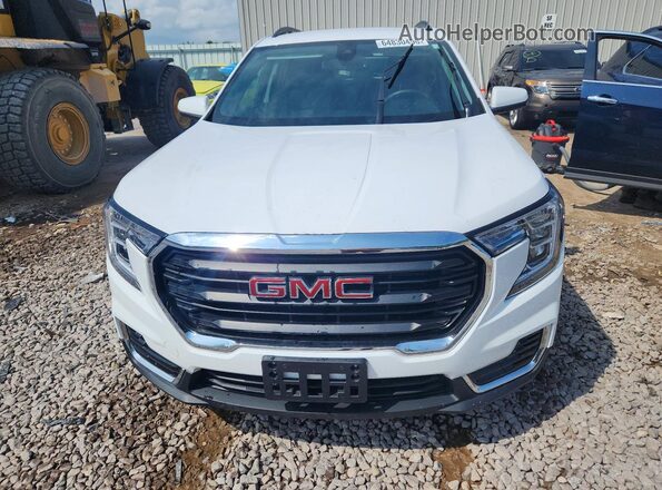 3GKALTEG0PL164305 2023 GMC TERRAIN Белый Вид спереди