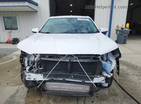 3GKALTEG7RL297131 2024 GMC TERRAIN Белый 