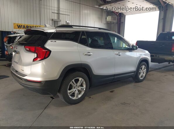 3GKALTEV0LL296182 2020 GMC TERRAIN Silver Tył prawy