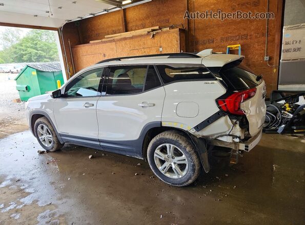 3GKALTEV2LL182197 2020 GMC TERRAIN White უკანა მარცხენა