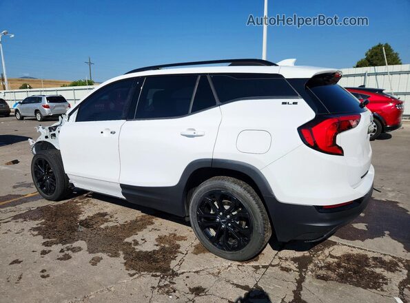 3GKALTEV7LL331736 2020 GMC TERRAIN Белый Задняя левая четверть